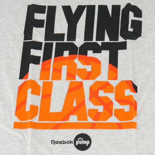 Koszulka Reebok Classic Flying 1st Graphic męska sportowa t-shirt
