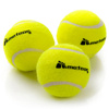 Piłki do tenisa ziemnego Meteor Tennis Ball uniwersalne bezciśnieniowe tenisowe 3 szt.